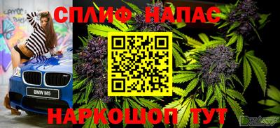 PSILOCYBIN Пугачёв