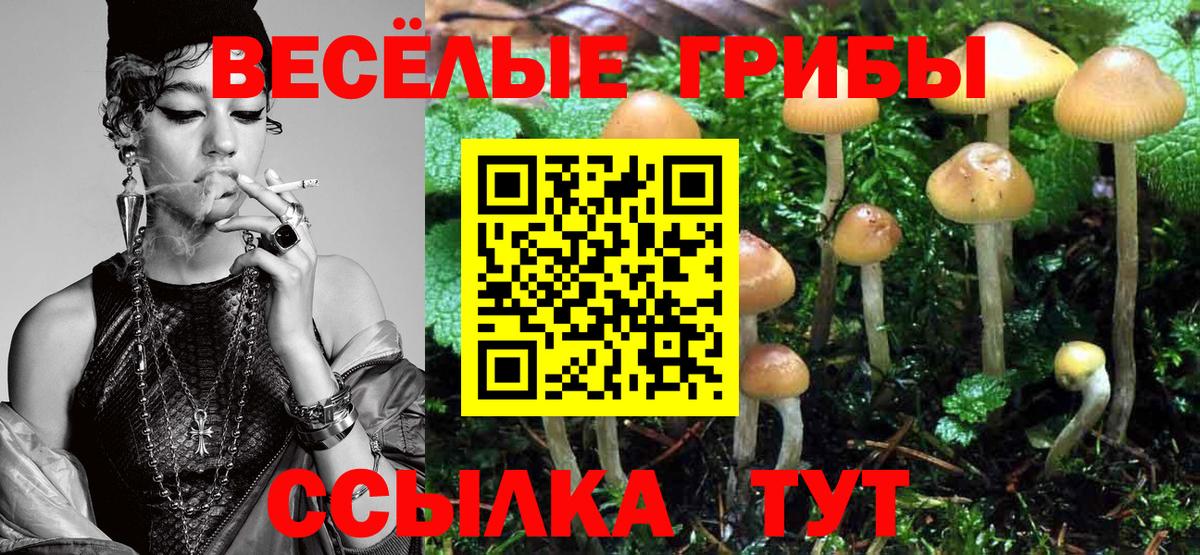 Псилоцибиновые грибы MAGIC MUSHROOMS Омск