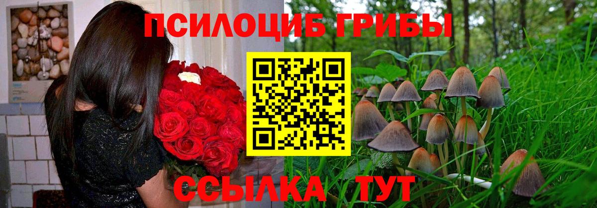 Галлюциногенные грибы Cubensis  Вход с VPN  Омск 